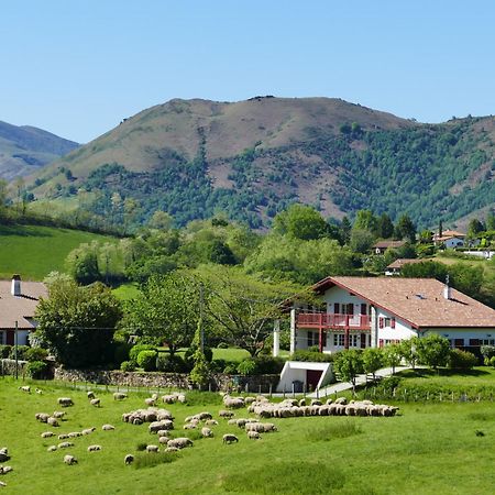 Baskoparadis I Eco-Gites I Calme I Vue I Anes I Jardin I Montagne I Nature Louhossoa 外观 照片