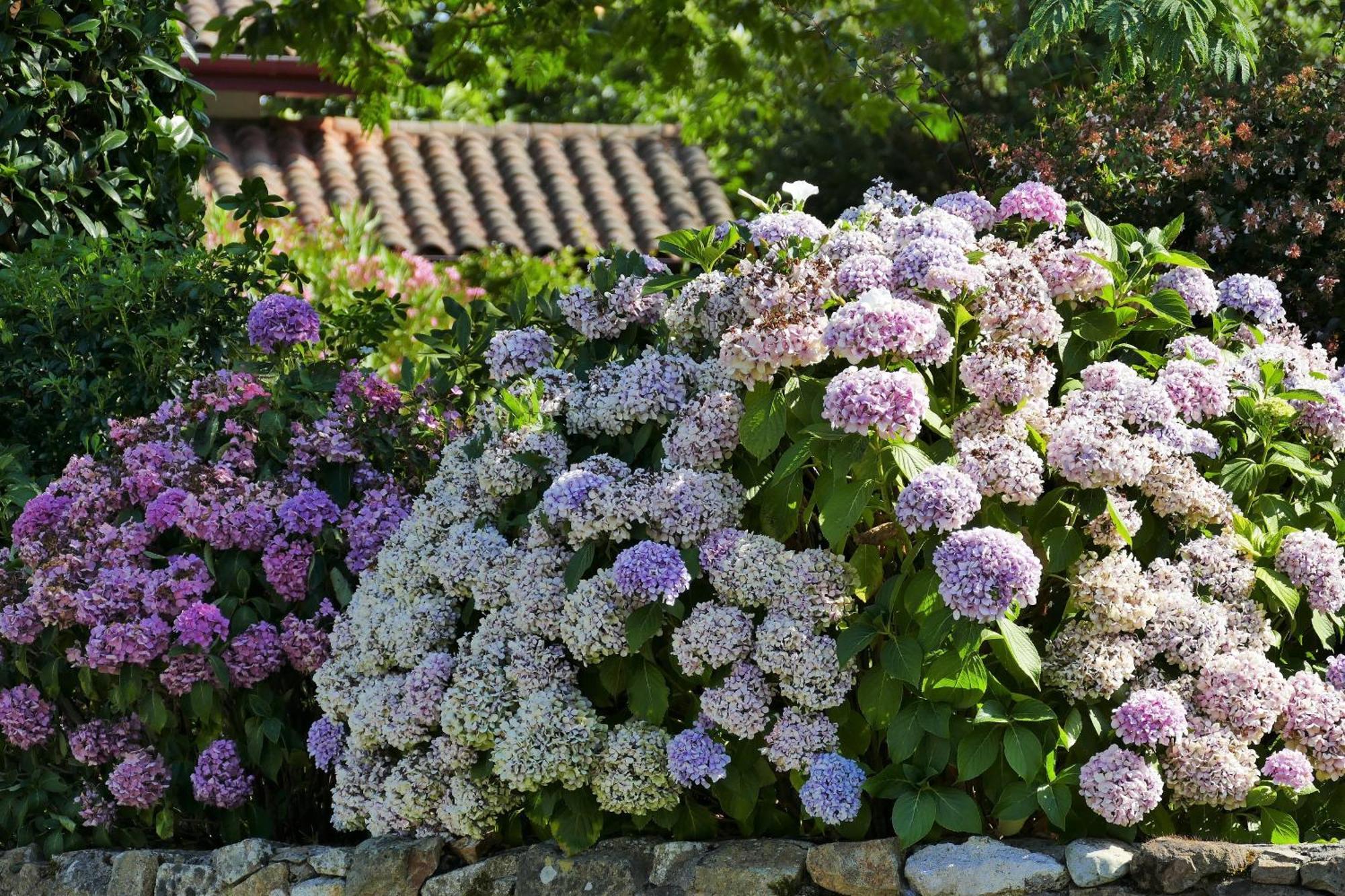 Baskoparadis I Eco-Gites I Calme I Vue I Anes I Jardin I Montagne I Nature Louhossoa 外观 照片