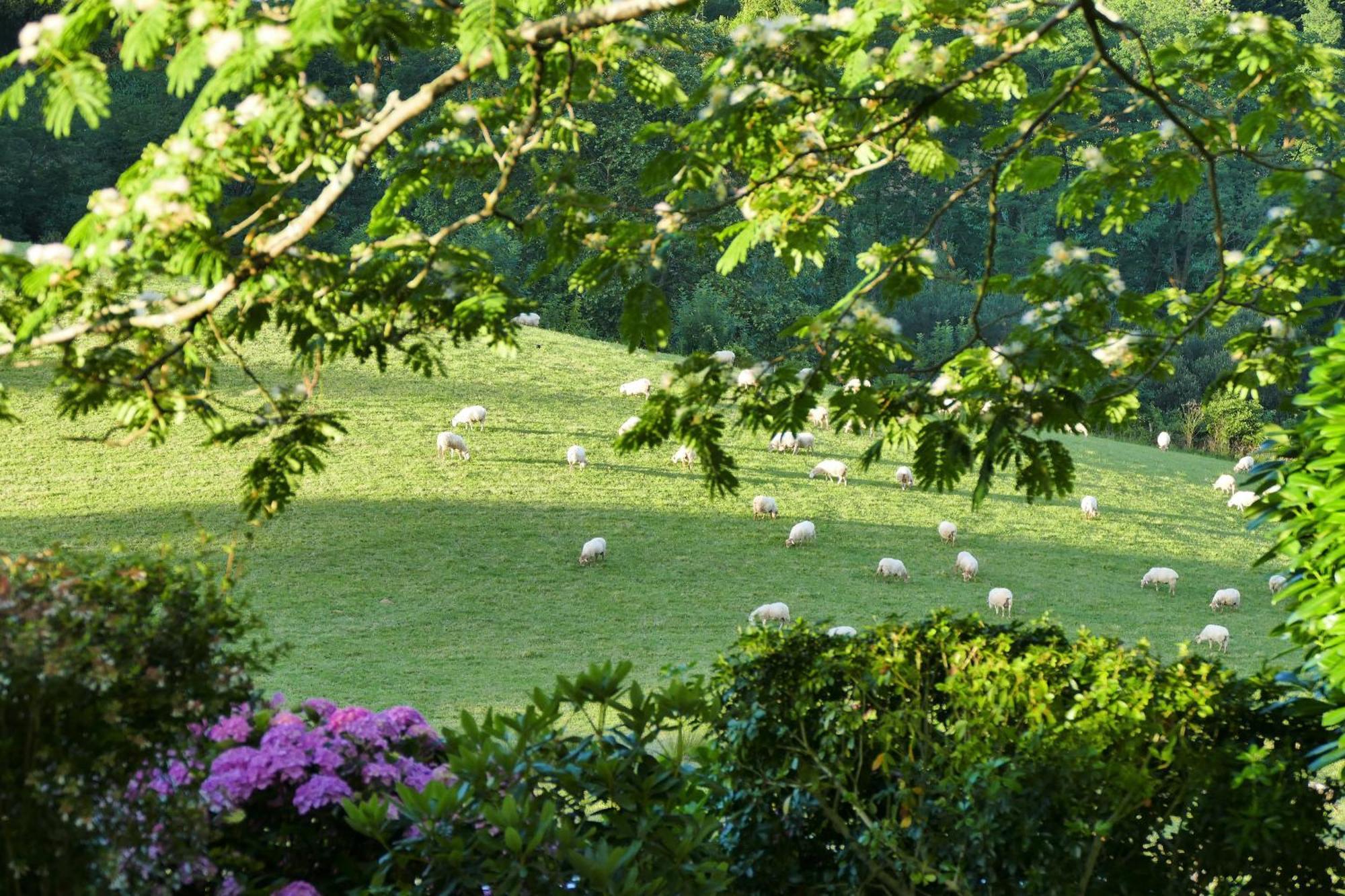 Baskoparadis I Eco-Gites I Calme I Vue I Anes I Jardin I Montagne I Nature Louhossoa 外观 照片