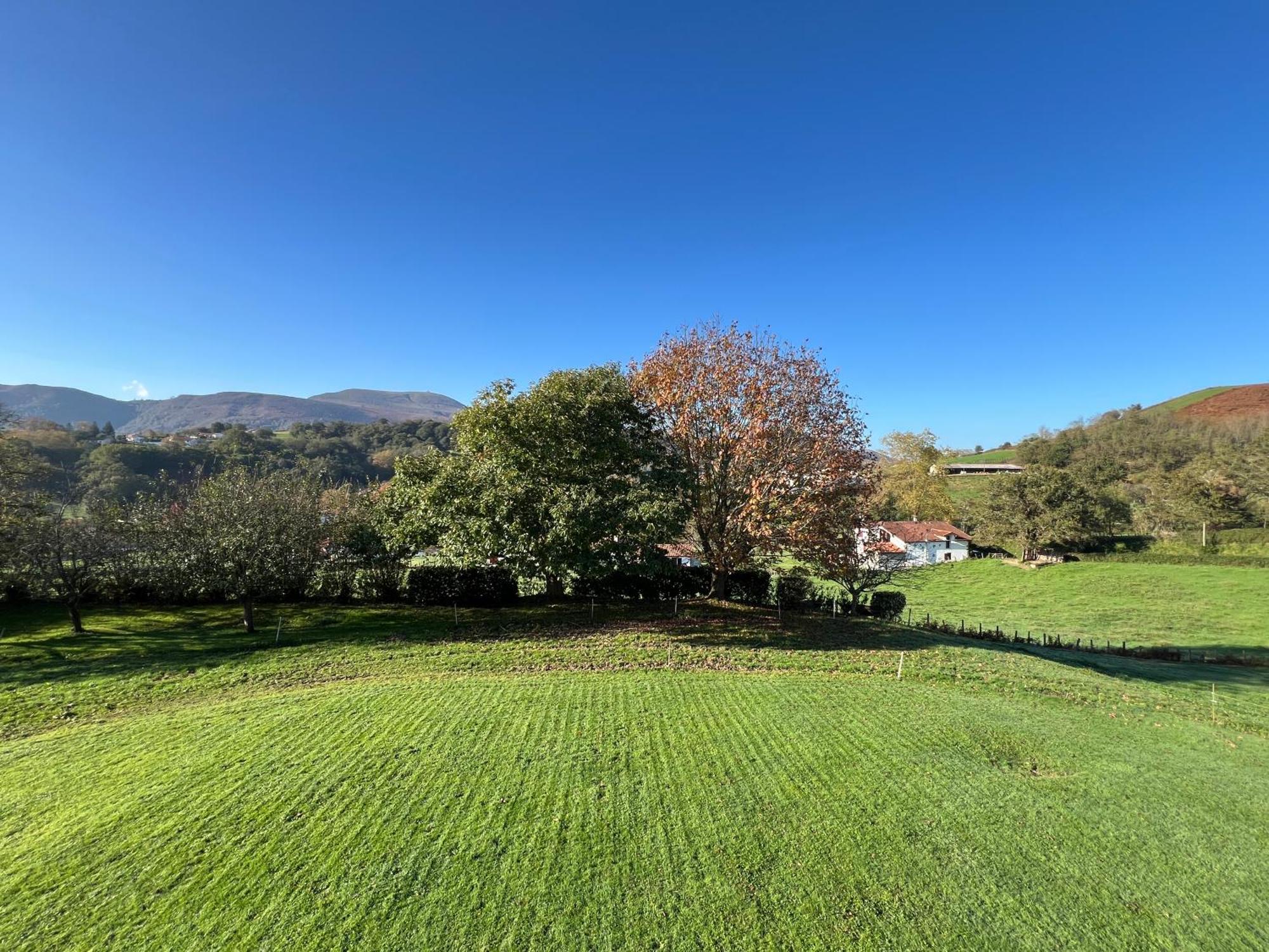 Baskoparadis I Eco-Gites I Calme I Vue I Anes I Jardin I Montagne I Nature Louhossoa 客房 照片
