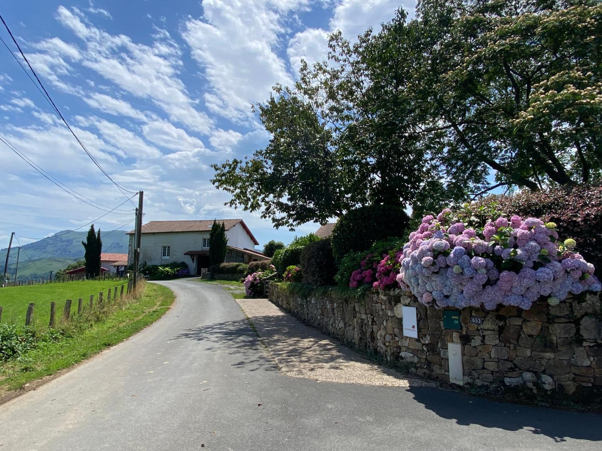 Baskoparadis I Eco-Gites I Calme I Vue I Anes I Jardin I Montagne I Nature Louhossoa 外观 照片