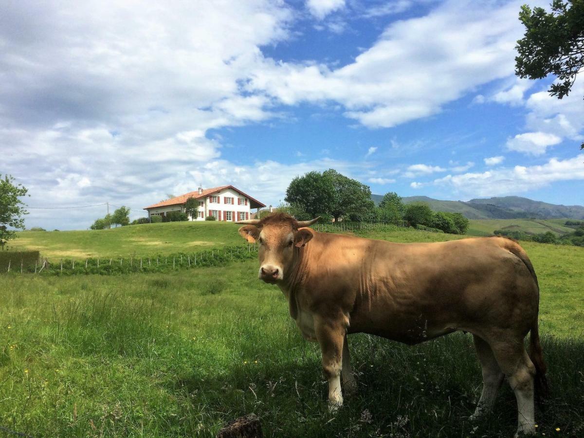 Baskoparadis I Eco-Gites I Calme I Vue I Anes I Jardin I Montagne I Nature Louhossoa 外观 照片
