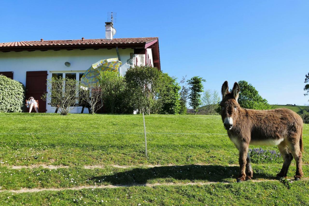Baskoparadis I Eco-Gites I Calme I Vue I Anes I Jardin I Montagne I Nature Louhossoa 外观 照片
